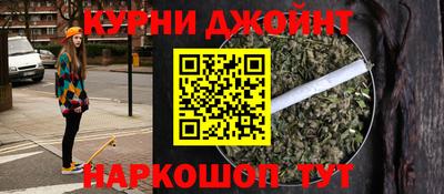сатива Будённовск