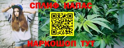 сатива Будённовск
