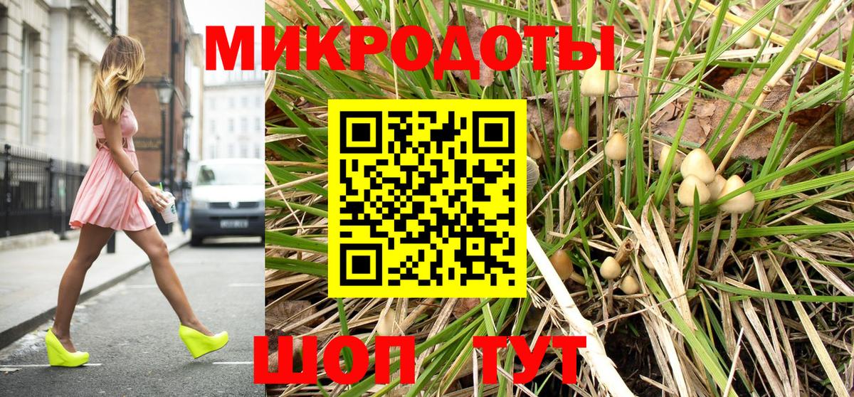 Псилоцибиновые грибы Psilocybe  Вход с VPN  цены наркотик  Кулебаки 